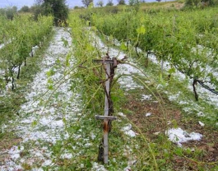 Αγροτική σύσκεψη στο Μακροχώρι για τις ζημιές από την πρόσφατη θεομηνία