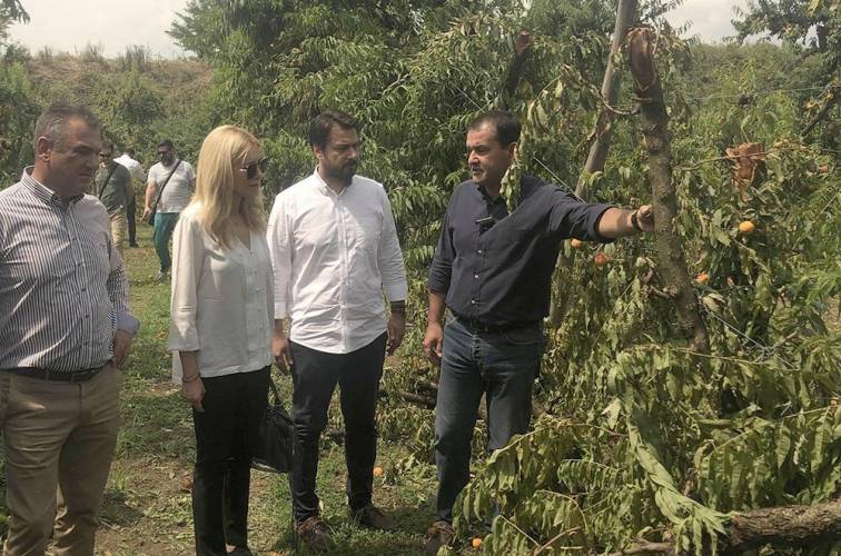 Αγροτικός Σύλλογος Βέροιας: “Αποσπάσαμε την υπόσχεση για γρήγορες και έγκυρες αποζημιώσεις”