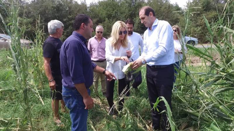 Βεσυρόπουλος: “Ενισχύεται ο ΕΛΓΑ στην Ημαθία με ακόμη 35 γεωπόνους για την εκτίμηση των ζημιών”