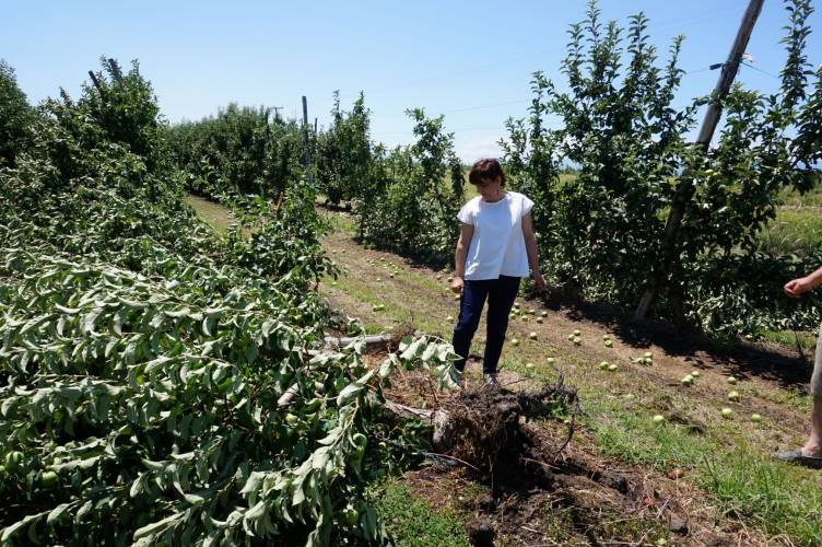 Επαφές της Φρόσως Καρασαρλίδου με ΕΛΓΑ και αγρότες για τις καταστροφές από τη θεομηνία