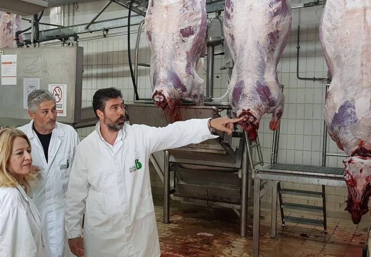 Στήριξη στα αιτήματα των Βοοτρόφων και του Βιομηχανικού Σφαγείου από την υποψήφια βουλευτή Νίκη Καρατζιούλα