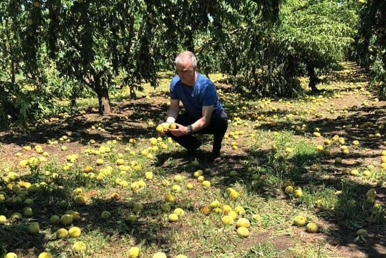 Τσαβδαρίδης: “Απόλυτη ανάγκη ταχύτατων εκτιμήσεων ζημιών και δίκαιης αποζημίωσης”