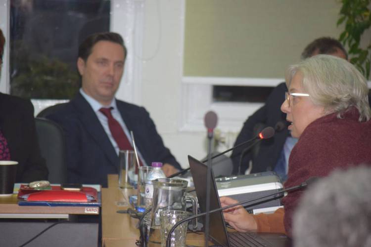 Μπαίνει στο Δίκτυο Πόλεων του Μεγάλου Αλεξάνδρου ο δήμος Νάουσας (βίντεο)