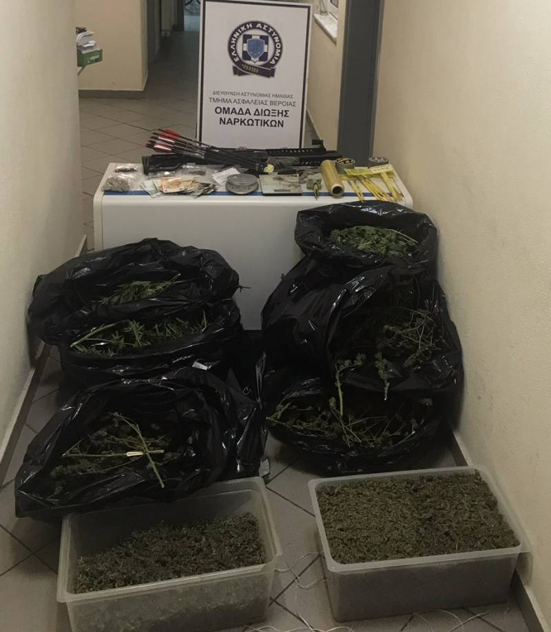 Το Τμήμα Ασφάλειας Βέροιας συνέλαβε 53χρονο για καλλιέργεια και διακίνηση κάνναβης