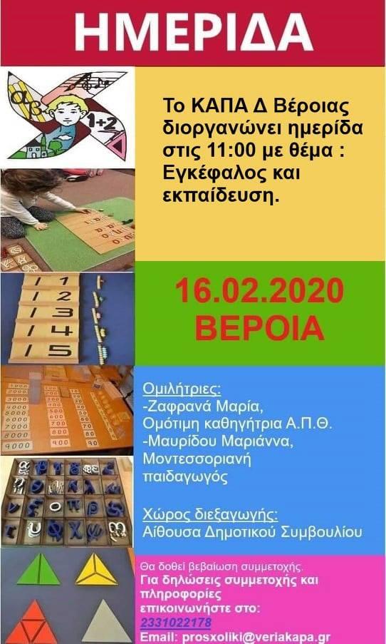 Ημερίδα με θέμα “Εγκέφαλος και Εκπαίδευση” διοργανώνει το ΚΑΠΑ Δήμου Βέροιας