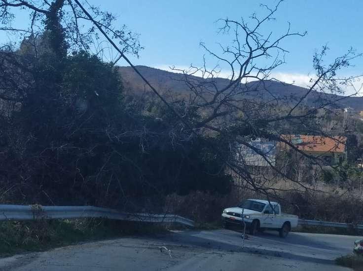 Έσπασε δένδρα ο αέρας