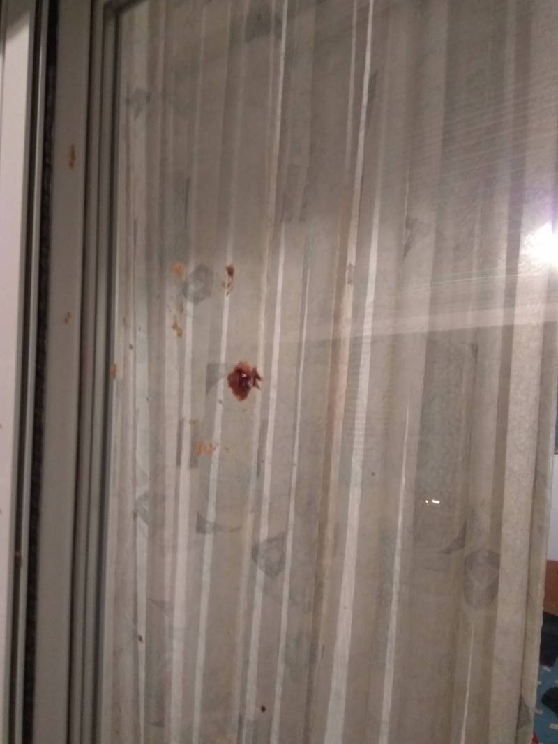 Η ΕΛΜΕ καταγγέλλει επίθεση σε σπίτι εκπαιδευτικού