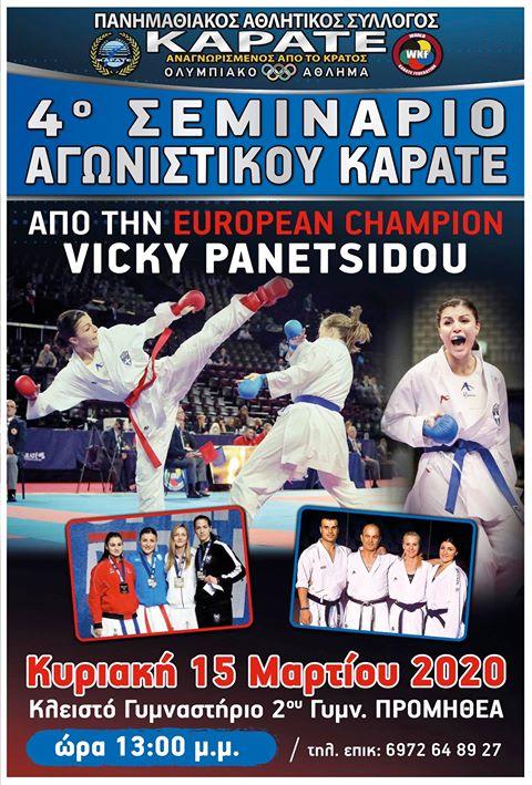 Σεμινάριο αγωνιστικού καράτε από την Βίκυ Πανετσίδου στην Βέροια