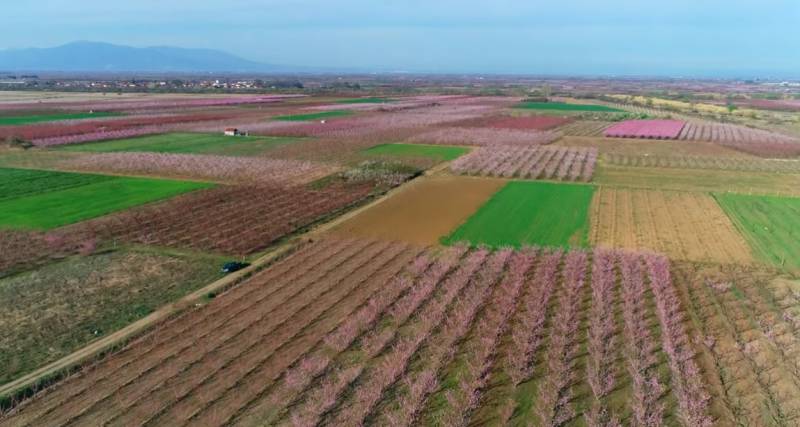 Προθεσμία υποβολής δηλώσεων ζημιάς από παγετό της 17-03-2020 σε οπωροφόρα δέντρα της Τοπικής Κοινότητας Βέροιας