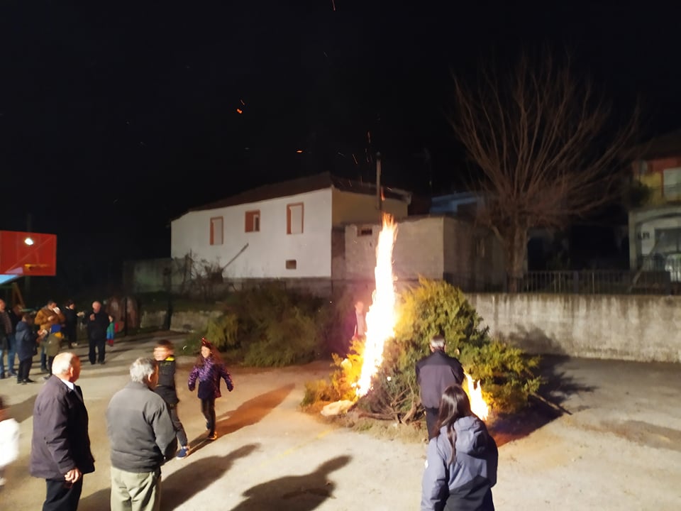 Άναψαν τα κέδρα στο Δάσκιο (φωτογραφίες, βίντεο)