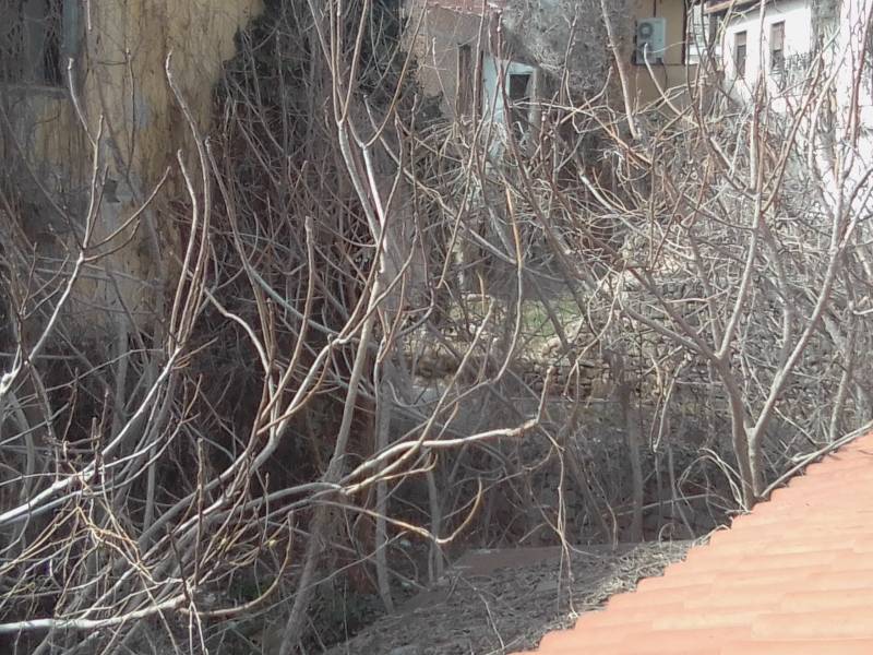 Βέροια: Ζητούν παρέμβαση του δήμου και καθαρισμό ακάλυπτου χώρου