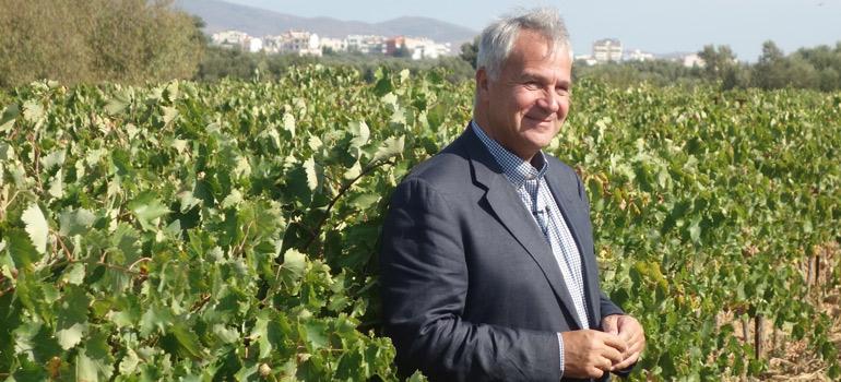 Κατανέμονται οι νέες άδειες φύτευσης οινοποιήσιμων ποικιλιών αμπέλου για το 2020
