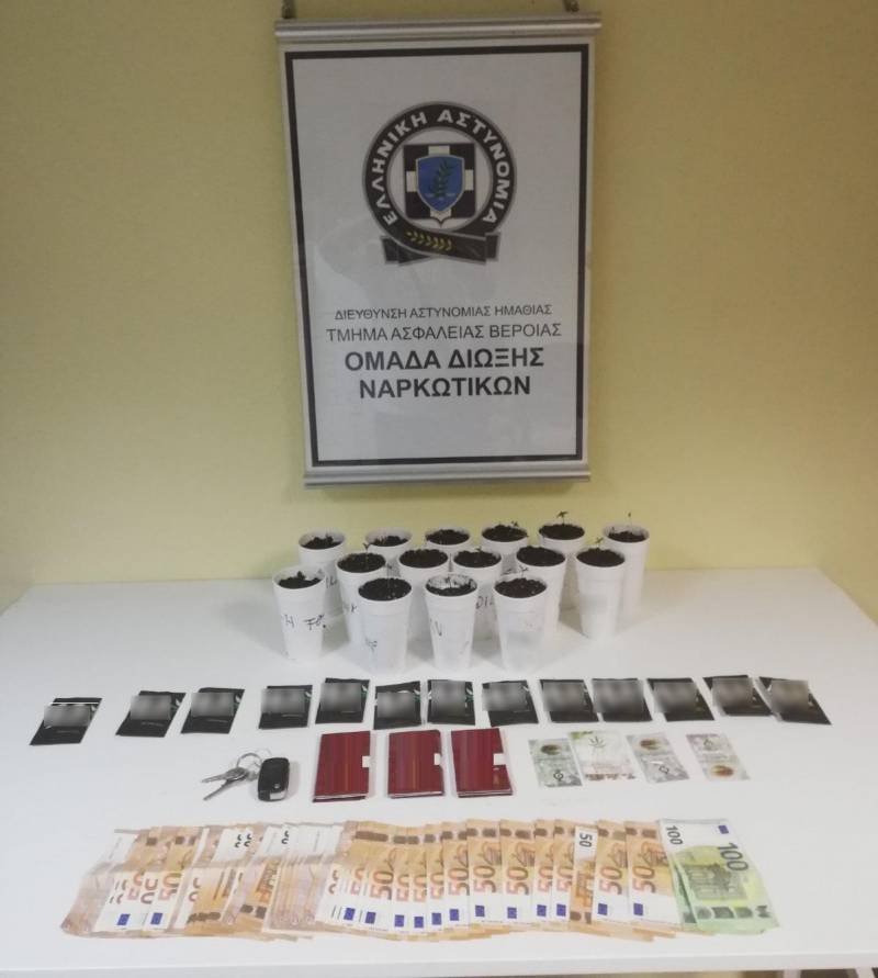 Συνελήφθη ένα άτομο στην Ημαθία για καλλιέργεια κάνναβης