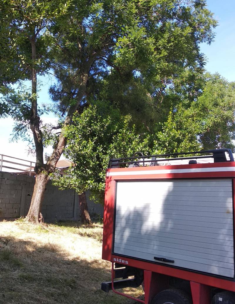 Διάσωση γάτας στο Δημοτικό Σχολείο Αγίας Βαρβάρας