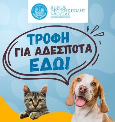 Δήμος Νάουσας: Εγκρίθηκε από το πρόγραμμα “Φιλόδημος” η κατασκευή καταφυγίου για την φιλοξενία αδέσποτων ζώων συντροφιάς και η προμήθεια εξοπλισμού καταφυγίου και κτηνιατρείου