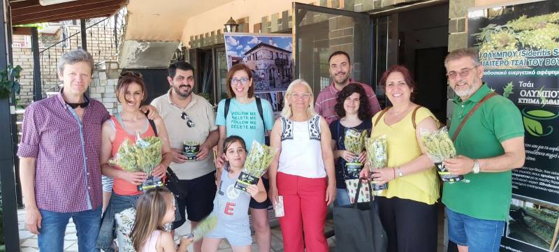 «Τσάι Ολύμπου»: Ένας θησαυρός υγείας – Ξενάγηση στο Κτήμα «Αλθαία» στο Ελατοχώρι