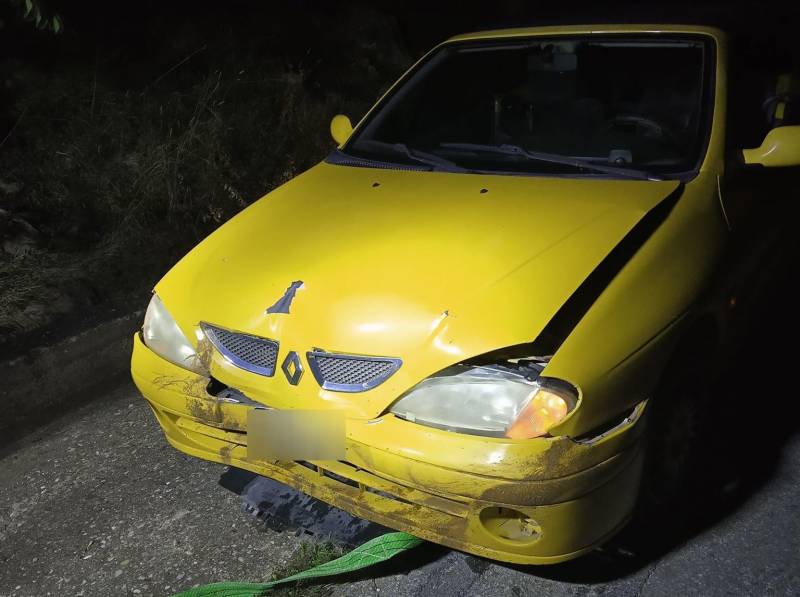 Σύγκρουση ΙΧ με αγριογούρουνο έξω από τους Γεωργιανούς