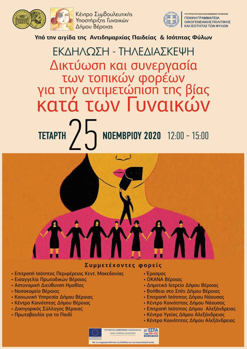 Βέροια: Τηλεδιάσκεψη με θέμα: «Δικτύωση και Συνεργασία των τοπικών φορέων για την αντιμετώπιση της βίας κατά των Γυναικών»