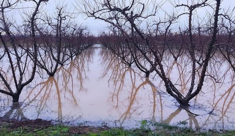 Σε λίμνες μετατράπηκαν και πάλι τα χωράφια στον κάμπο της Ημαθίας