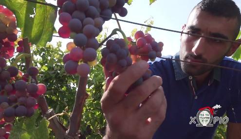 Εκπομπή: Θα τα Πούμε στο Χωριό – Αφιέρωμα στο Γιανακοχώρι  Ημαθίας
