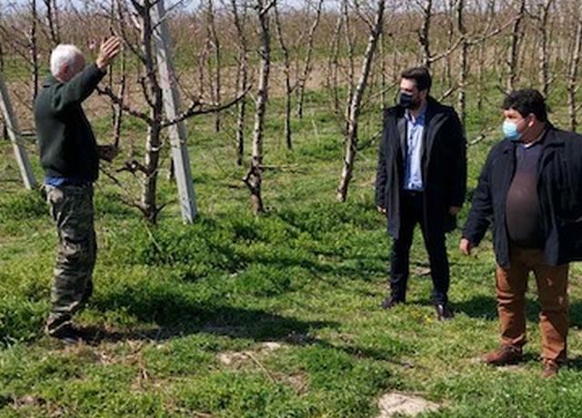 Μπαρτζώκας: Επίσκεψη σε περιοχές που επλήγησαν από τον παγετό