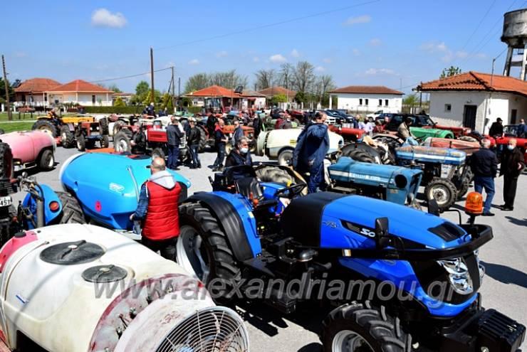 Νέο ΔΣ στον Αγροτικό Σύλλογο Αλεξάνδρειας