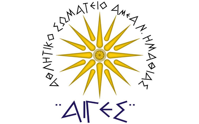 Γενική συνέλευση στο Αθλητικό Σωματείο ΑμεΑ «Αιγές Βεργίνα»