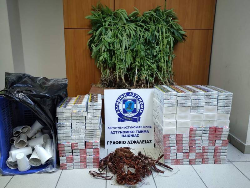 Καλλιεργούσαν σε παραποτάμιες περιοχές της Ημαθίας και της Πέλλας δενδρύλλια κάνναβης – Είχαν και 860 πακέτα λαθραίων τσιγάρων