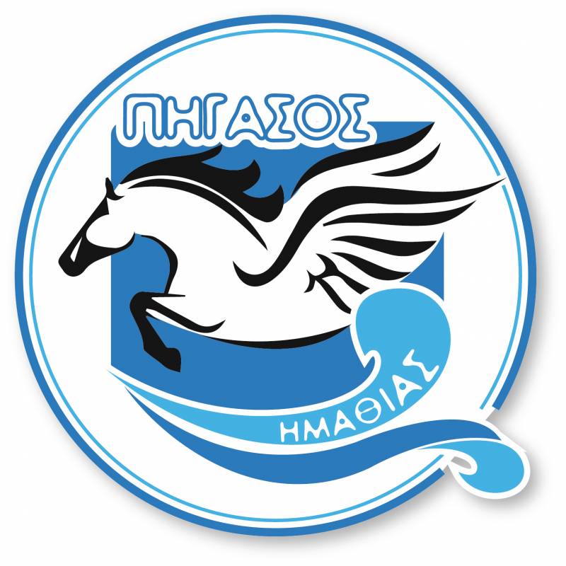 Δύσκολη η αρχή αλλά με θετικά αποτελέσματα για την αγωνιστική ομάδα του Πήγασου