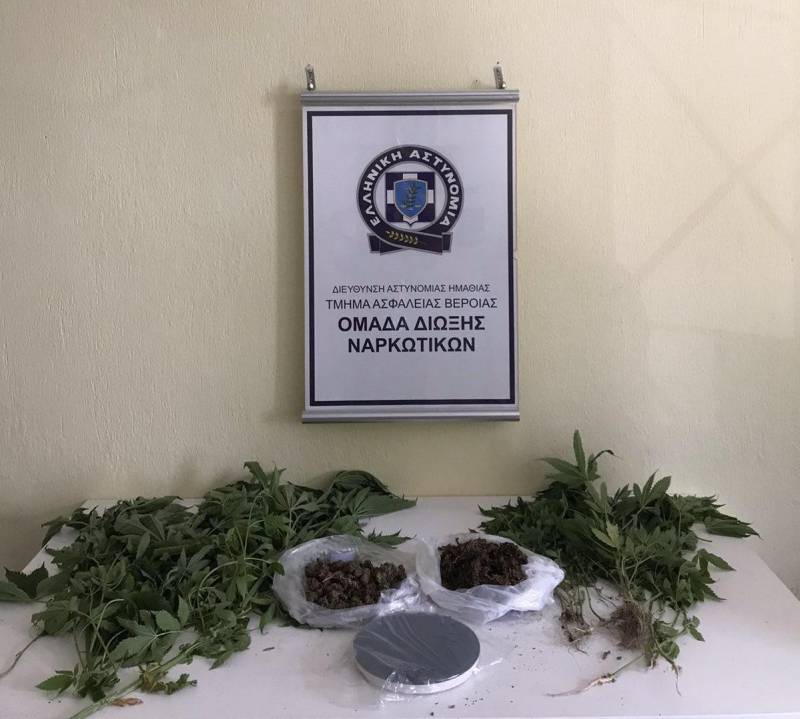 Καλλιεργούσε κάνναβη στην αυλή του σπιτιού του