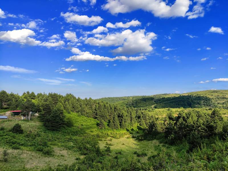 Πρόγραμμα πεζοποριών ξεκινά ο Πολιτιστικός Τουριστικός Όμιλος Σελίου
