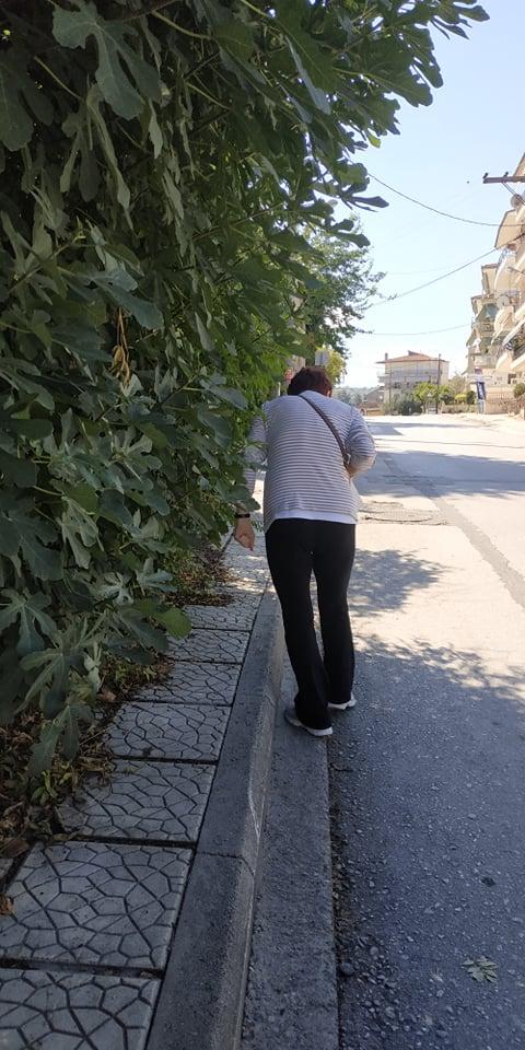 Η βλάστηση εμποδίζει την κίνηση των πεζών