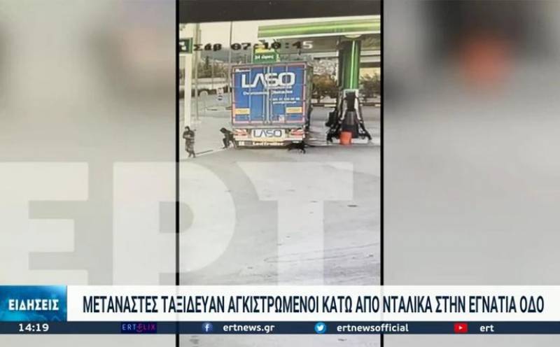 Βέροια: Σκύλος γαβγίζει και «προδίδει» μετανάστες που ταξιδεύουν κάτω από φορτηγό στην Εγνατία