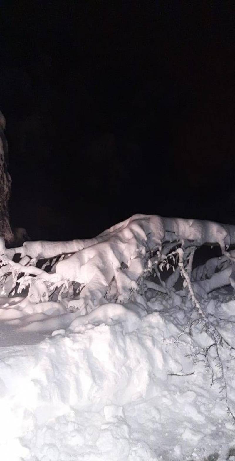 Δέντρο έκλεισε τον δρόμο προς Παναγία Σουμελά