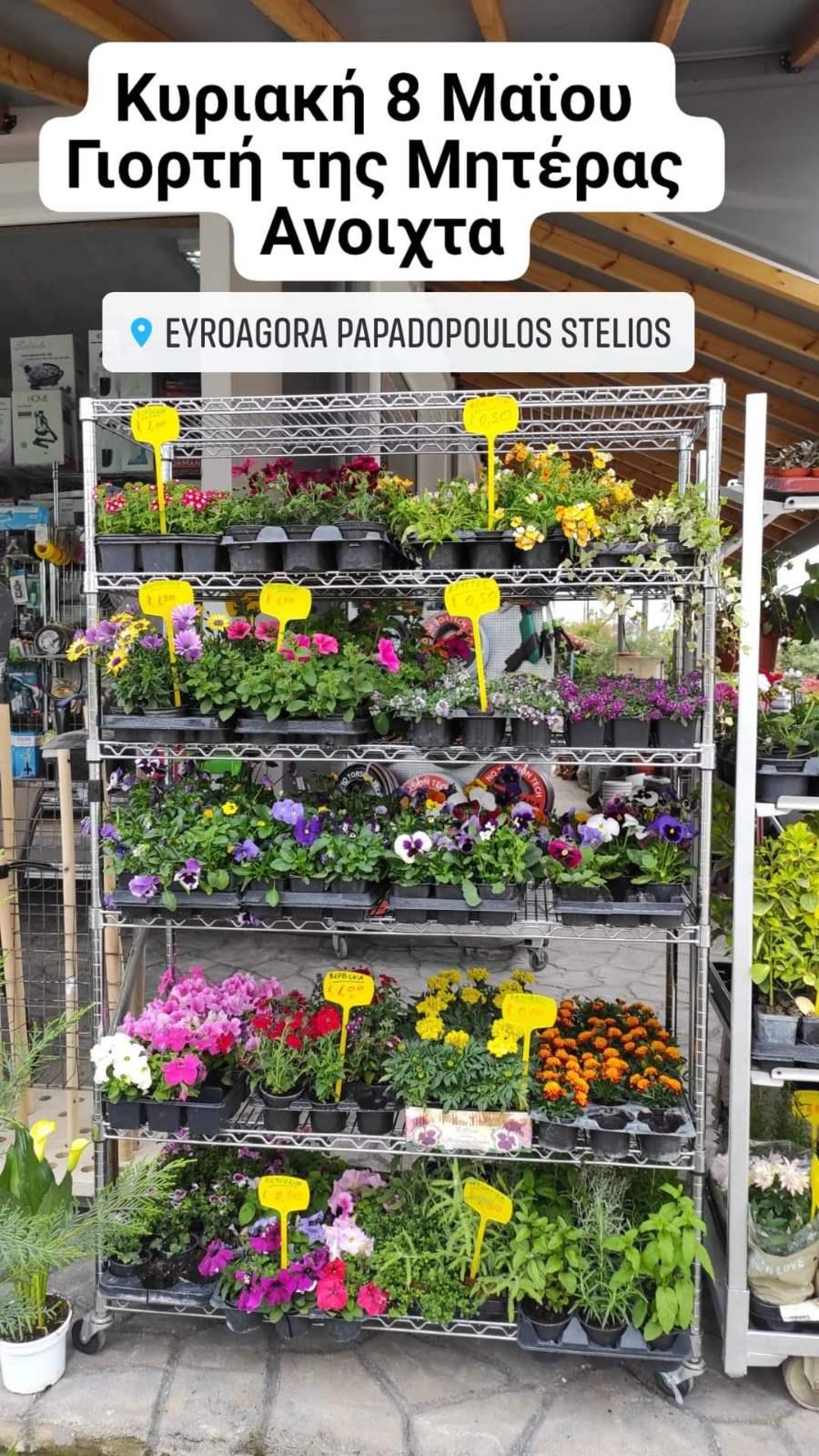 Λουλούδια και πρωτότυπα δωράκια για τη γιορτή της Μητέρας από την EUROAGORA  Παπαδόπουλος(φωτογραφίες)