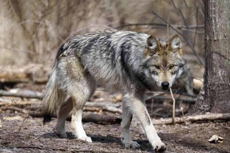 Κοινωνικά: Απεβίωσε η Σοφία Λυκοστράτη