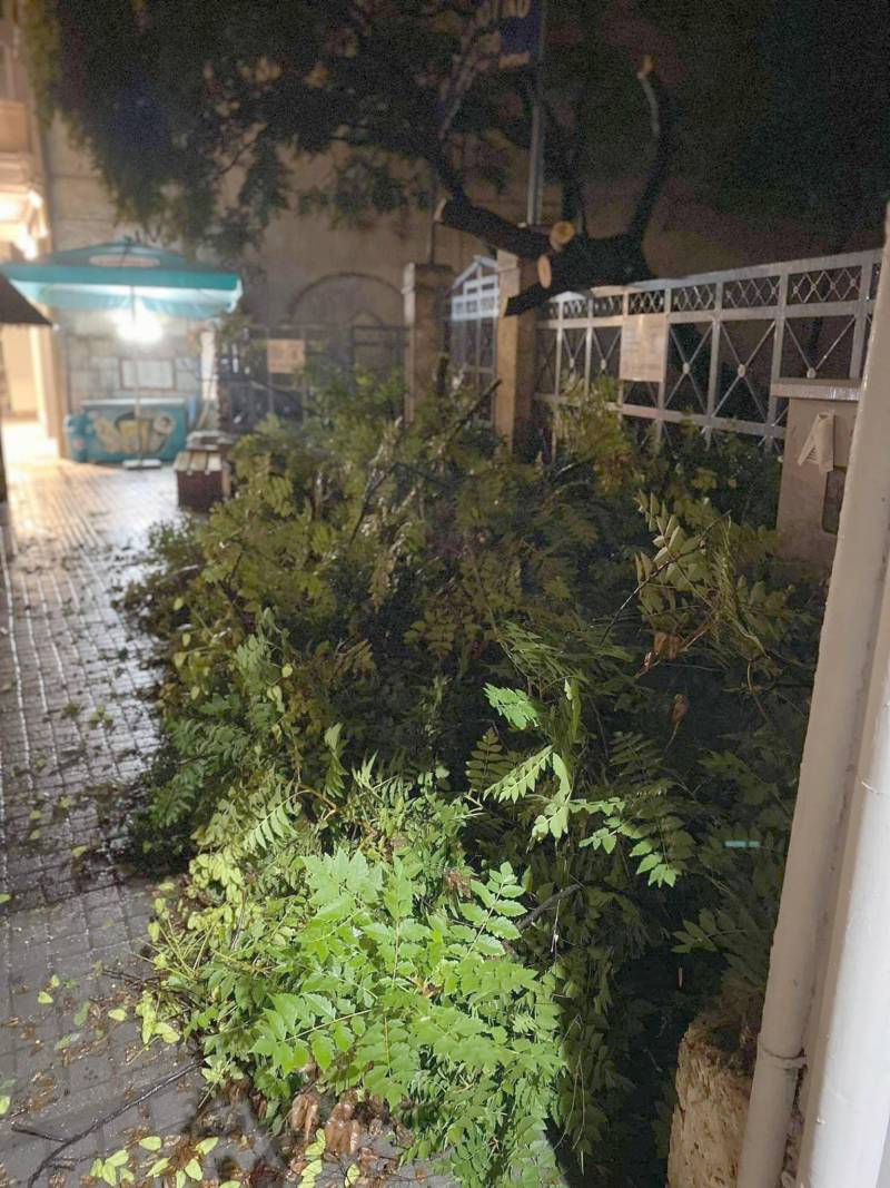 Έπεσε δένδρο στο κέντρο της Βέροιας από την καταιγίδα