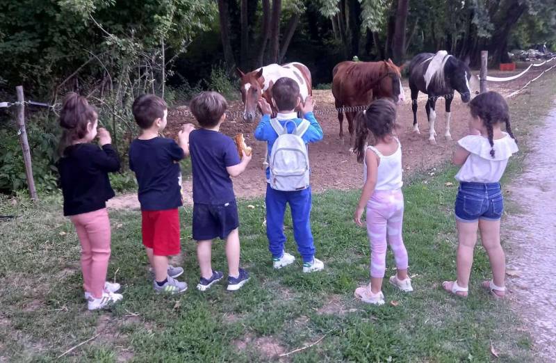 Δ’ Παιδικός Σταθμός ΚΑΠΑ Βέροιας: Παιδιά και ζώα, σχέσεις αγάπης, σχέση ζωής…