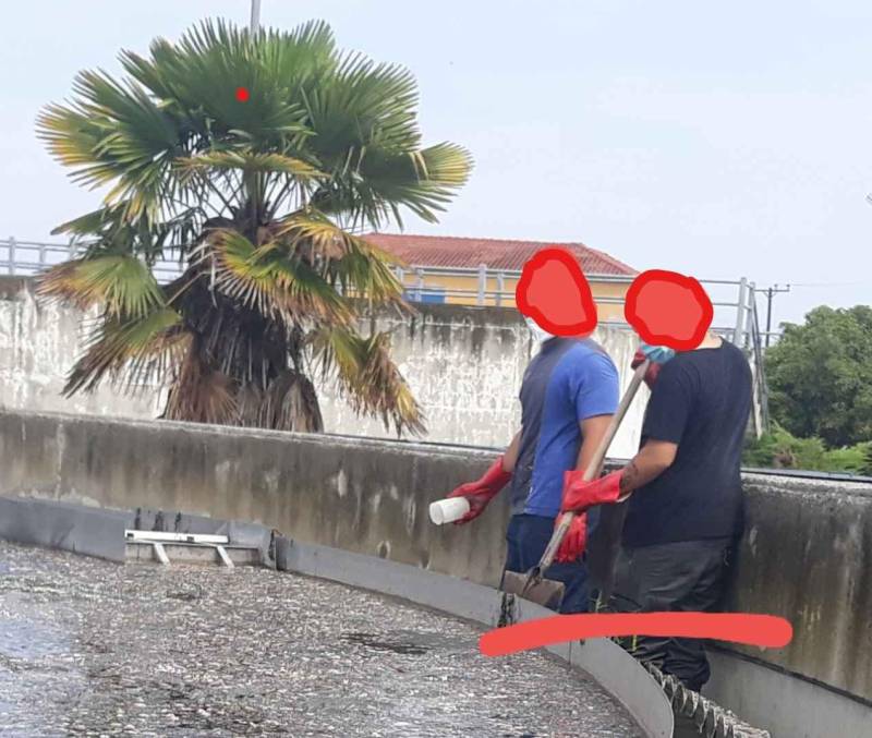 Οικολογική Ομάδα Βέροιας: “Τα λύματα στον βιολογικό Αλεξάνδρειας συνεχίζουν να αποβάλλονται από τις εγκαταστάσεις, πλήρως ακατέργαστα”