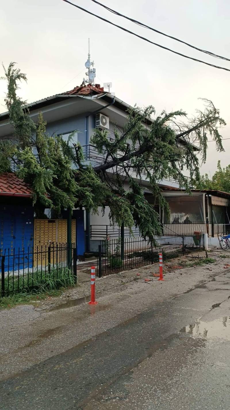 Επί ποδός τα συνεργεία του Δήμου Νάουσας για την αποκατάσταση ζημιών από το μπουρίνι (φωτογραφίες)