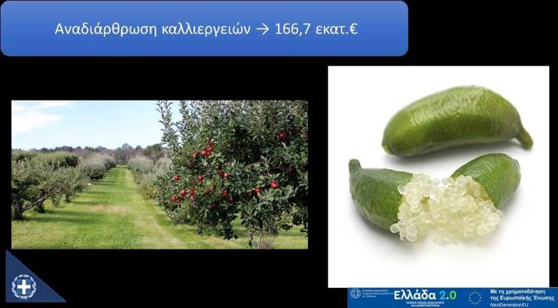 Ολοκληρώθηκε η μελέτη για την αναδιάρθρωση των καλλιεργειών