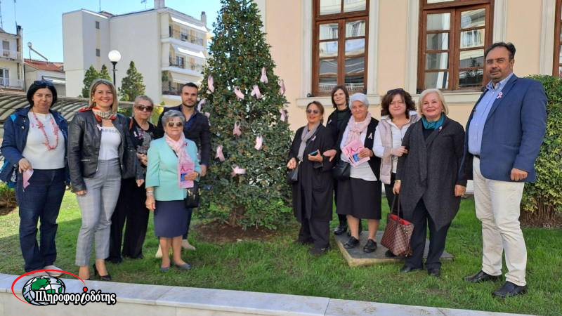 Στα «ροζ» στολίστηκε το Δημαρχείο Βέροιας (φωτογραφίες)