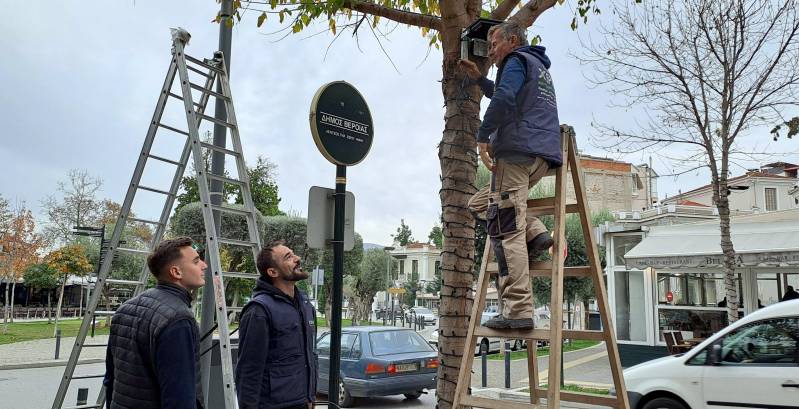 Προχωρά ο στολισμός της Βέροιας