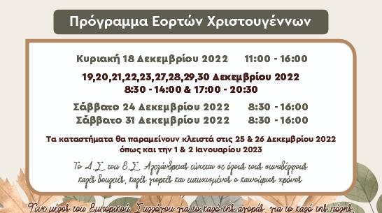 Το εορταστικό πρόγραμμα λειτουργίας των καταστημάτων στην Αλεξάνδρεια
