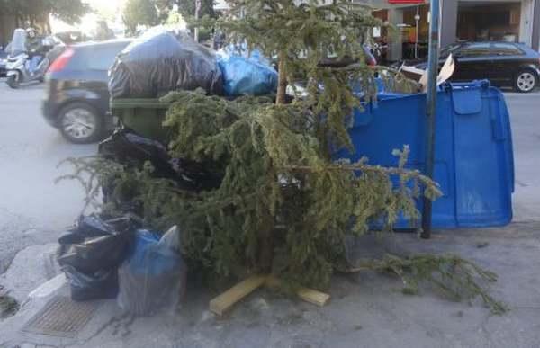 Θέλεις να πετάξεις το Χριστουγεννιάτικο δένδρο; Κάλεσε την υπηρεσία καθαριότητας του δήμου Βέροιας