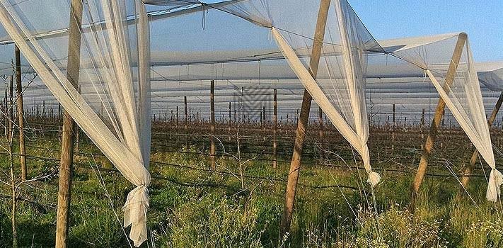 27 εκατομμύρια ευρώ για εγκατάσταση δικτύων χαλαζικής προστασίας