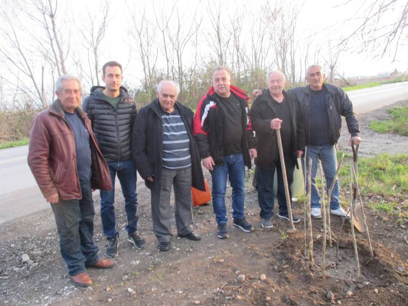 Ο Σύλλογος Λεχοβιτών Αλεξάνδρειας πραγματοποίησε δενδροφύτευση στον Σταυρό