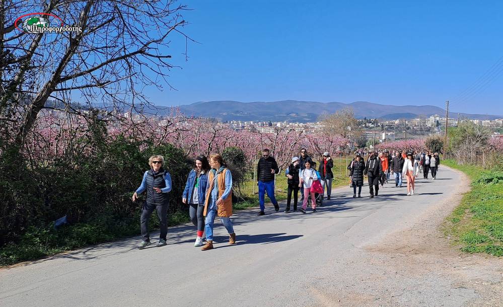 Με πολύ μεγάλη συμμετοχή η πεζοπορία και η ποδηλατάδα στις Ανθισμένες Ροδακινιές (φωτογραφίες, βίντεο)