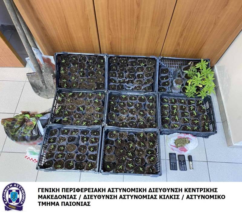 Συνελήφθησαν 2 άτομα για καλλιέργεια κάνναβης