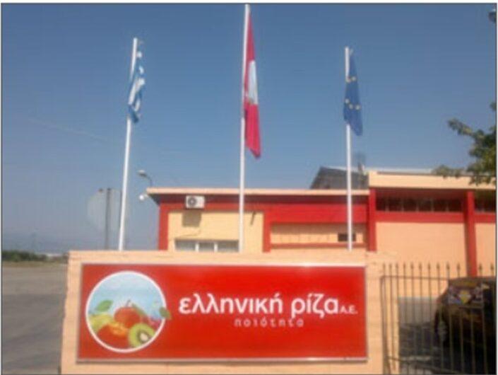 Σε πλειστηριασμό τα ακίνητα της «Ελληνικής Ρίζας» στον Άγιο Γεώργιο